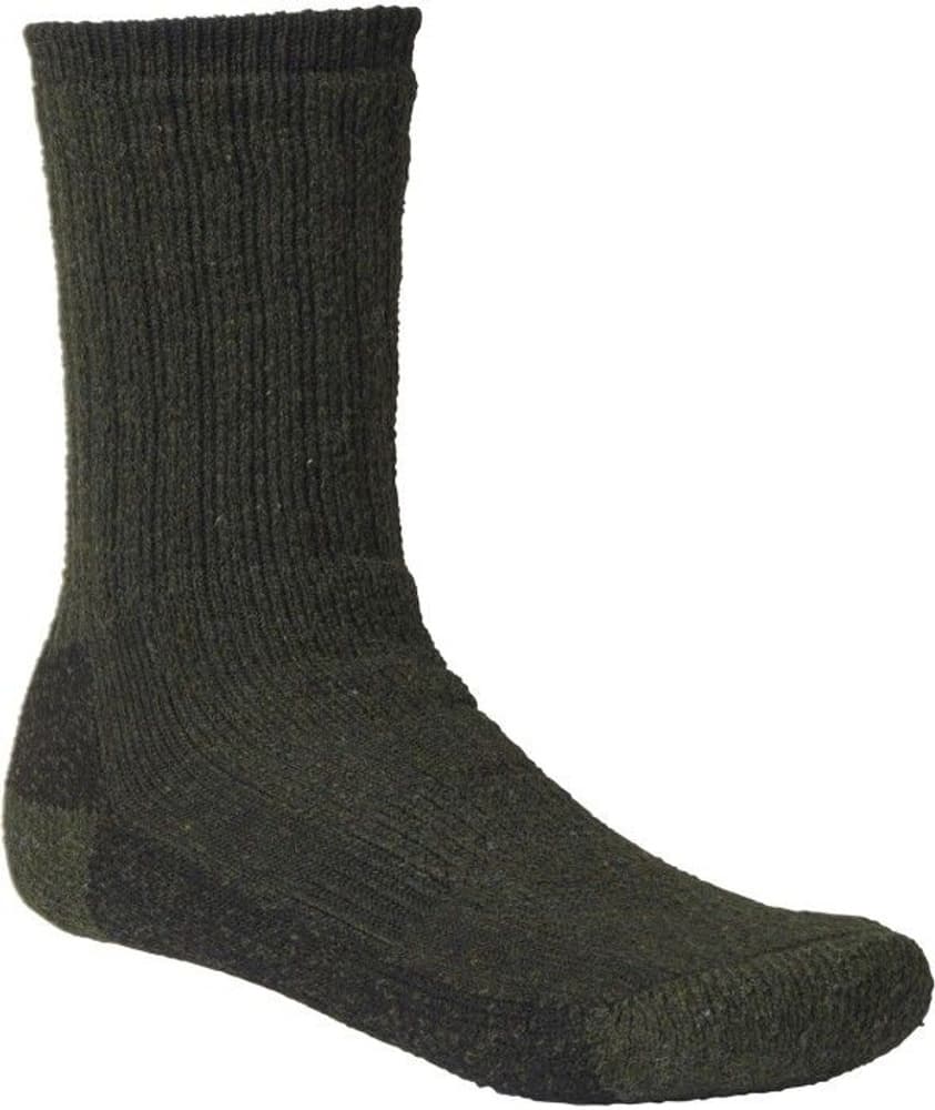 Hunter Sock Unisex Green, view: 0