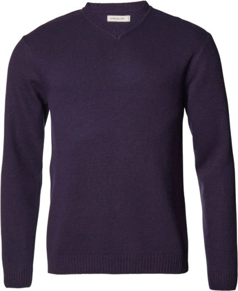 Stanley Pullover Men Eggplant, view: 0