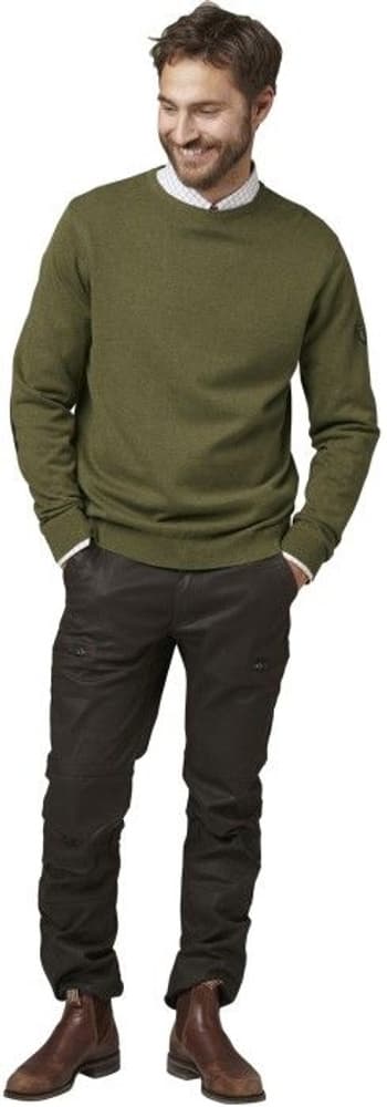 Gaup Cotton Sweater RN Men Green, view: 2