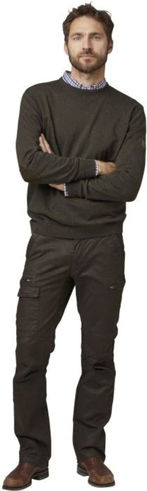 Gaup Cotton Sweater RN Men Brown, view: 1