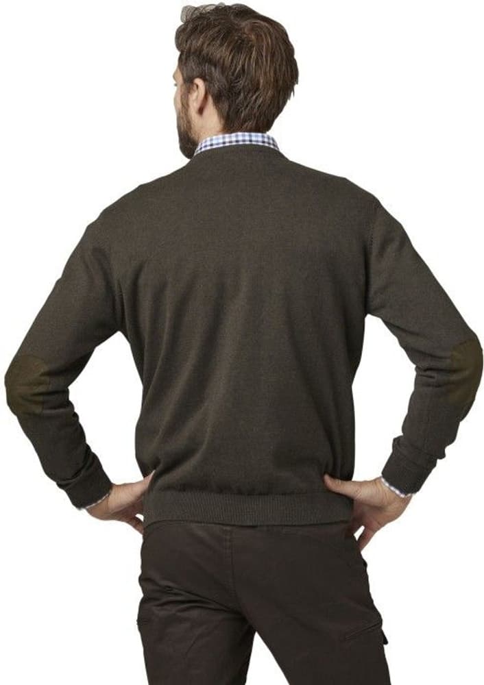 Gaup Cotton Sweater RN Men Brown, view: 4