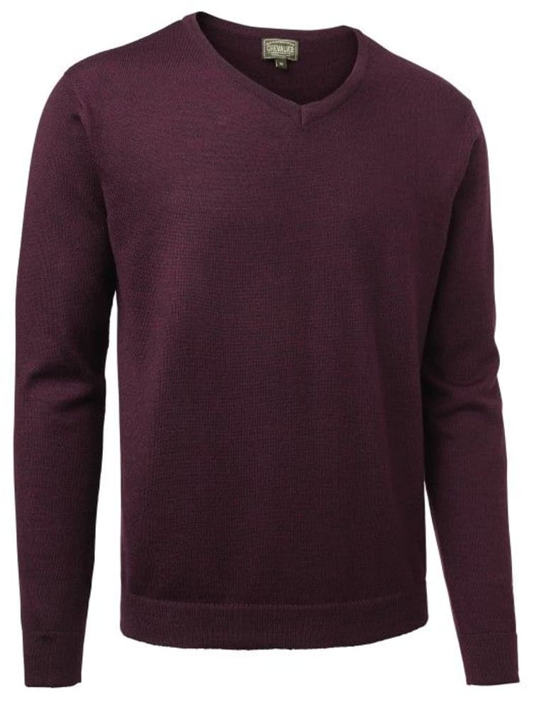 Gart Merino Sweater Women Purple, view: 0