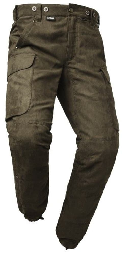 Pro Wood Action GTX Pant Women Green, view: 0