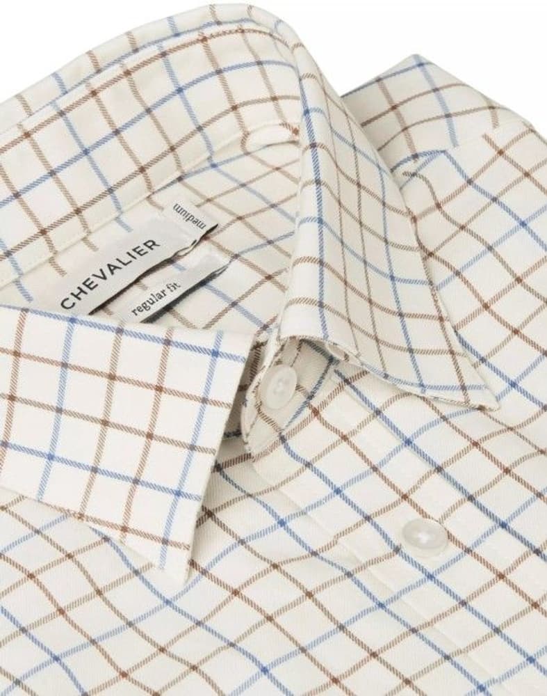 Tealing Shirt Shooting Fit Men Spring Blue Checked, view: 2