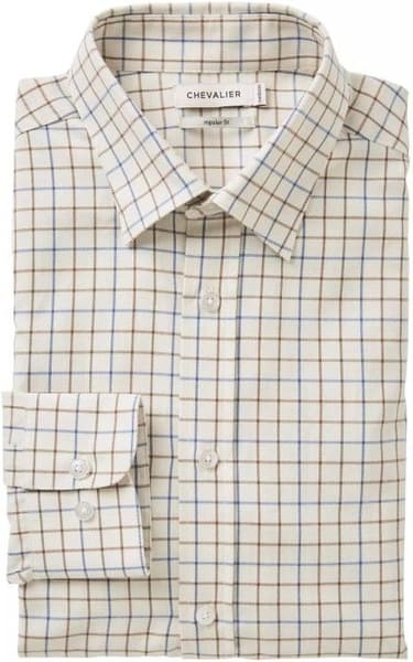 Tealing Shirt Shooting Fit Men Spring Blue Checked, view: 1
