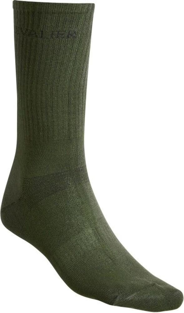 Liner Sock Coolmax Green, view: 0