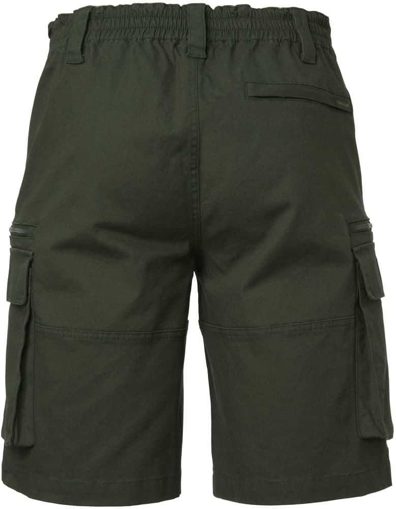 Jay Shorts Dark Green, view: 1