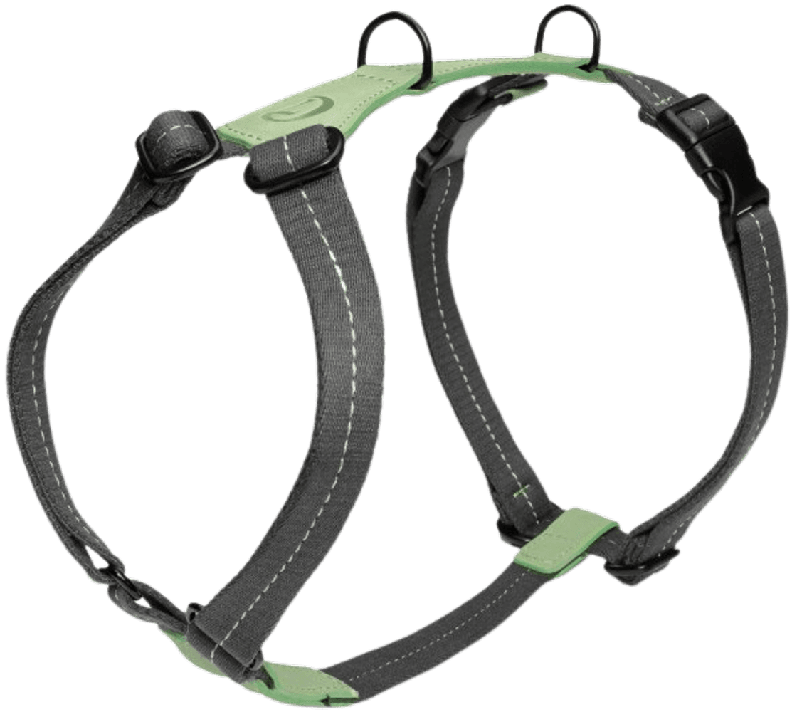 Harness XS-S Madeira Mint, view: 0