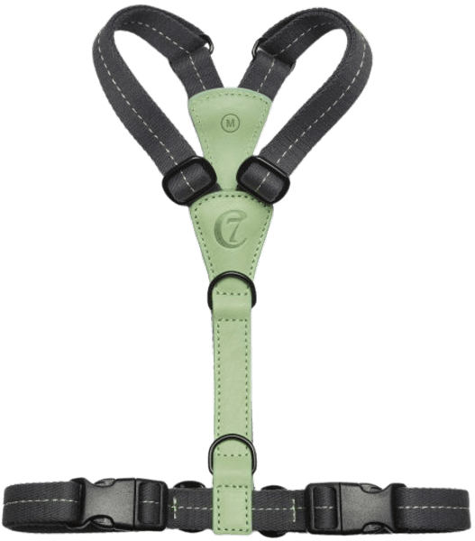 Harness XS-S Madeira Mint, view: 1