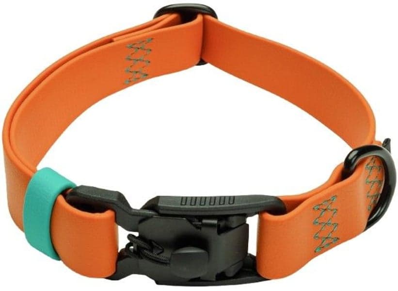 Dog Collar S-M Ipanema Orange, view: 0