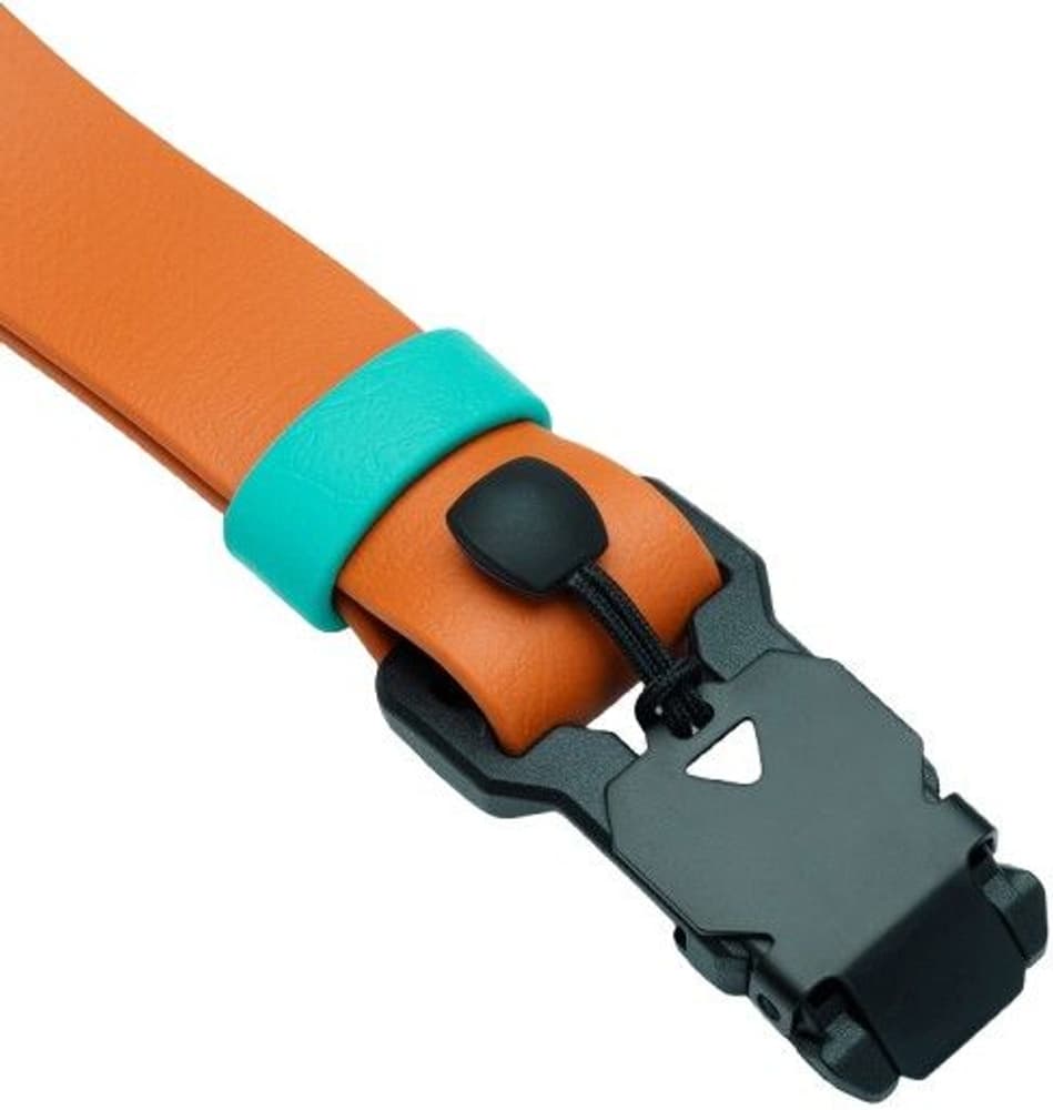 Dog Collar S-M Ipanema Orange, view: 2