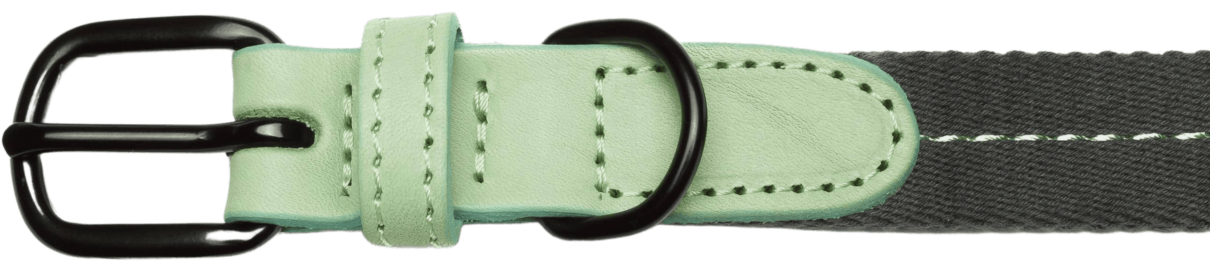 Dog Collar L-XL Madeira Mint, view: 1