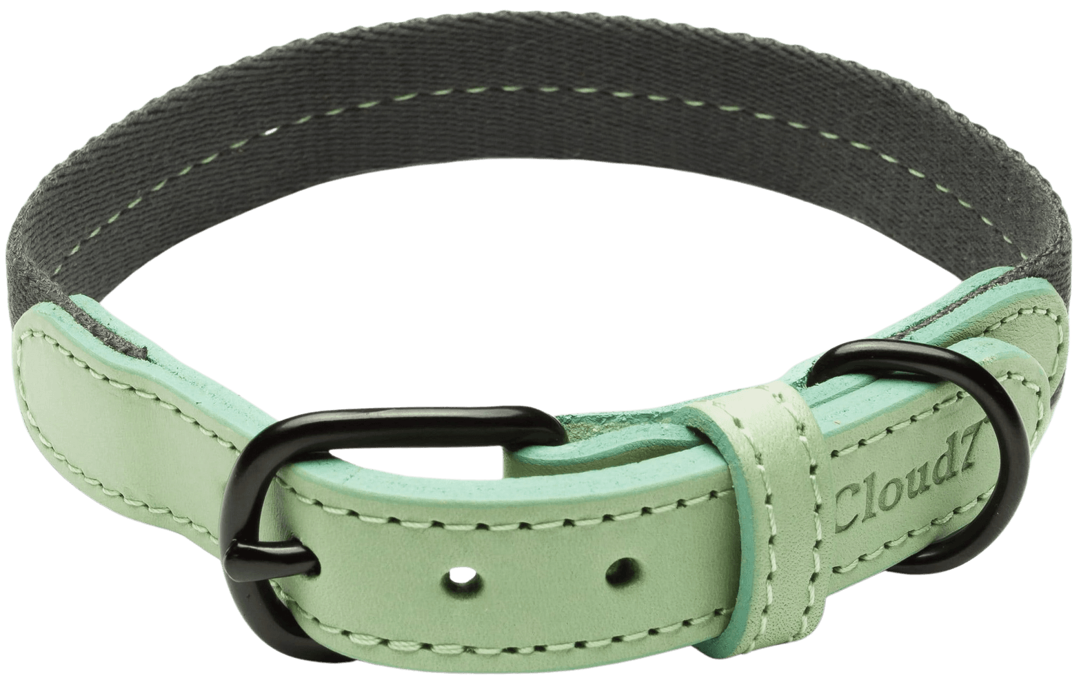 Dog Collar XS-M Madeira Mint, view: 0