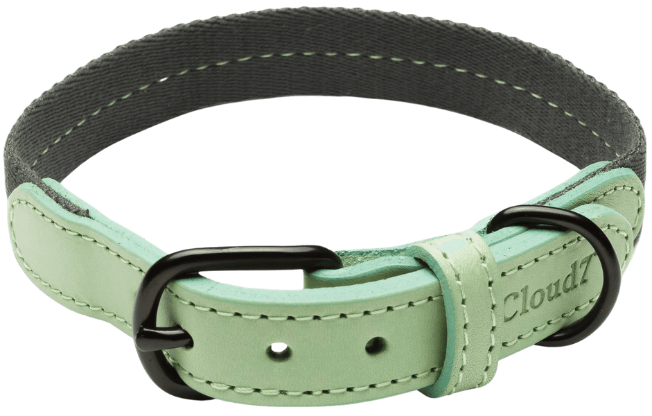 Dog Collar XS-M Madeira Mint, view: 0