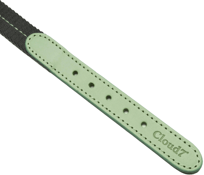 Dog Collar XS-M Madeira Mint, view: 2