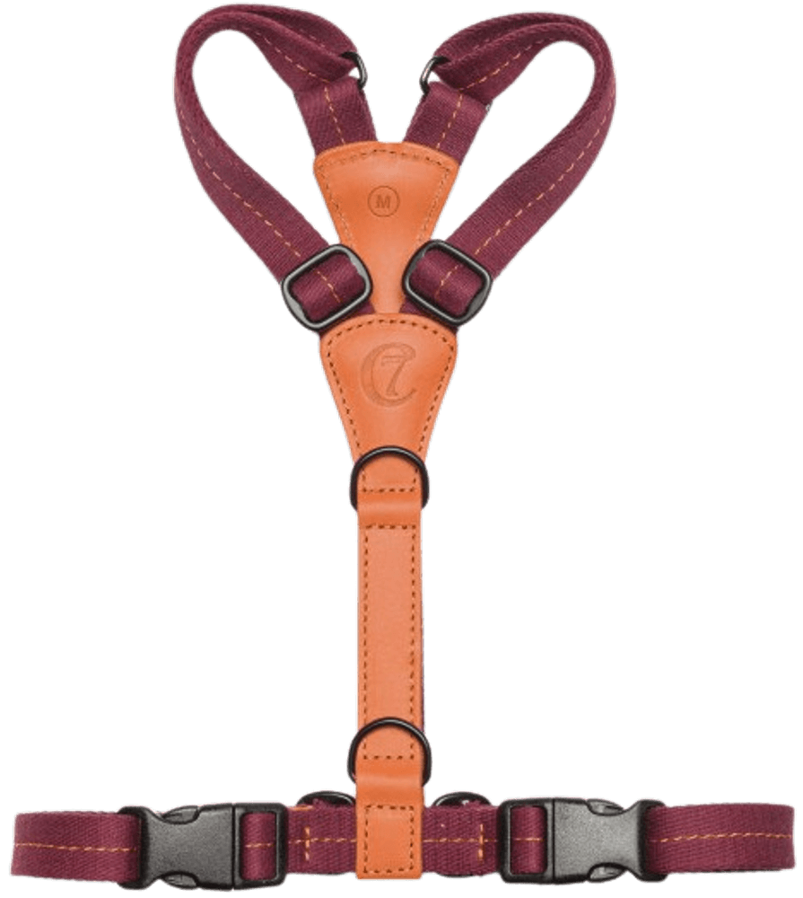 Harness Madeira M-L Papaya, view: 1