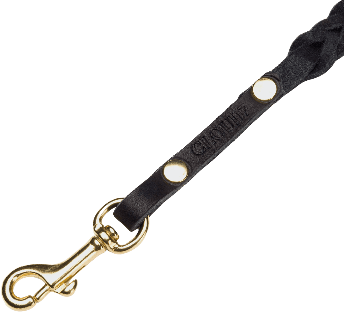 Leash Central Park L Black Gold Braided, view: 1