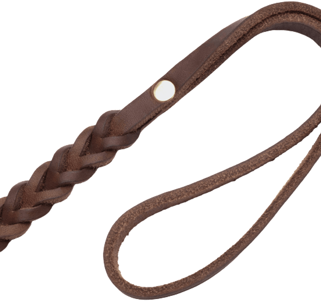 Leash Central Park L Saddle Brown Gold, view: 2