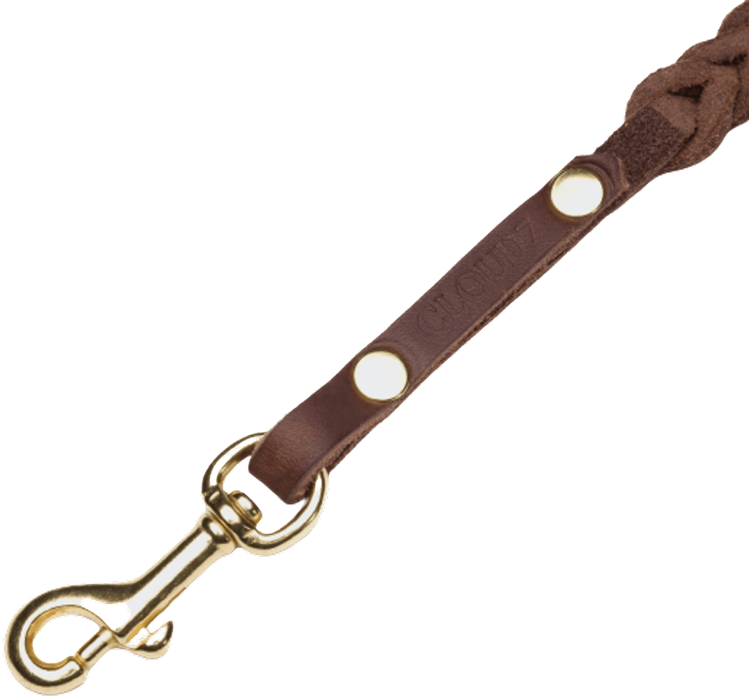 Leash Central Park L Saddle Brown Gold, view: 1