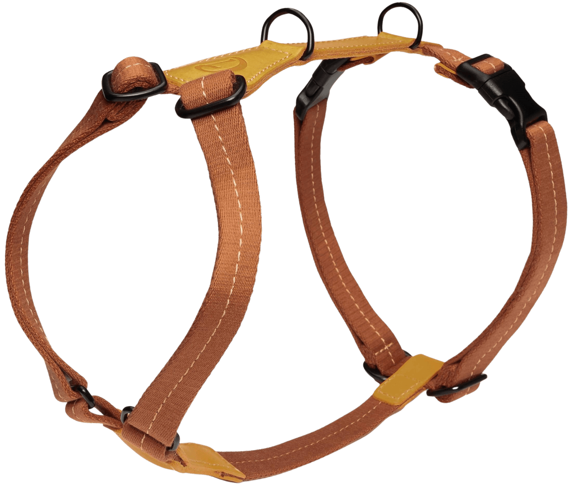 Harness Madeira XS-S Ginger, view: 0
