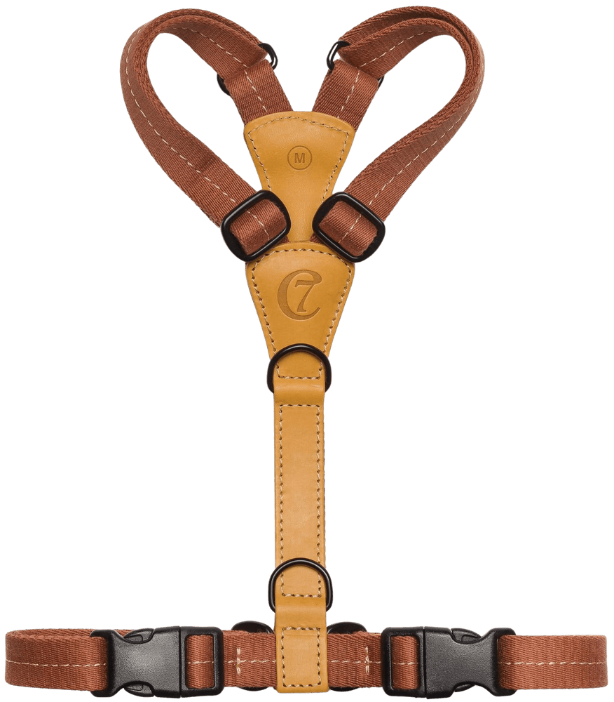 Harness Madeira XS-S Ginger, view: 1