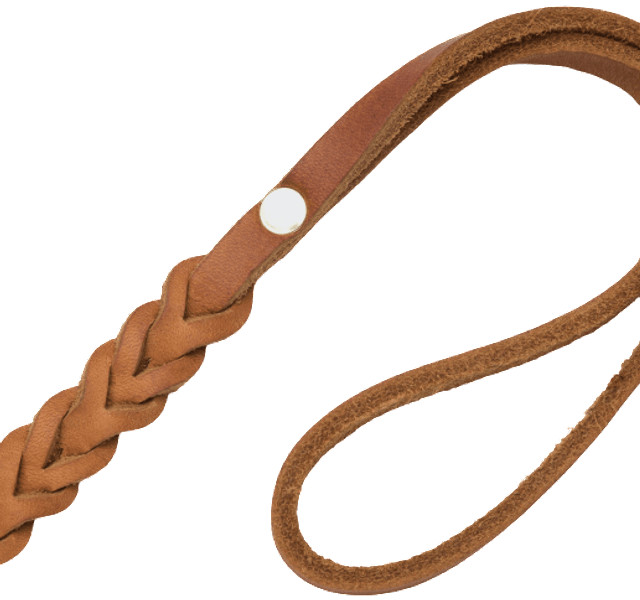 Leash Central Park S Camel Gold, view: 1