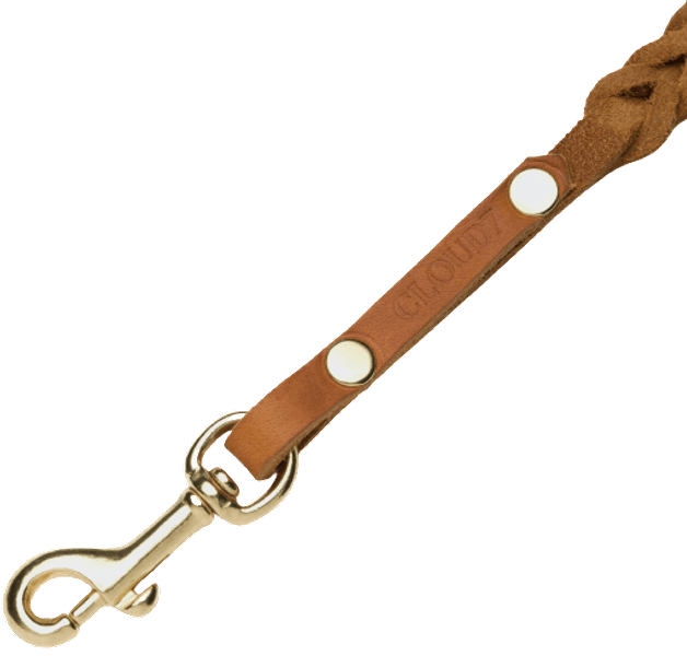 Leash Central Park S Camel Gold, view: 2