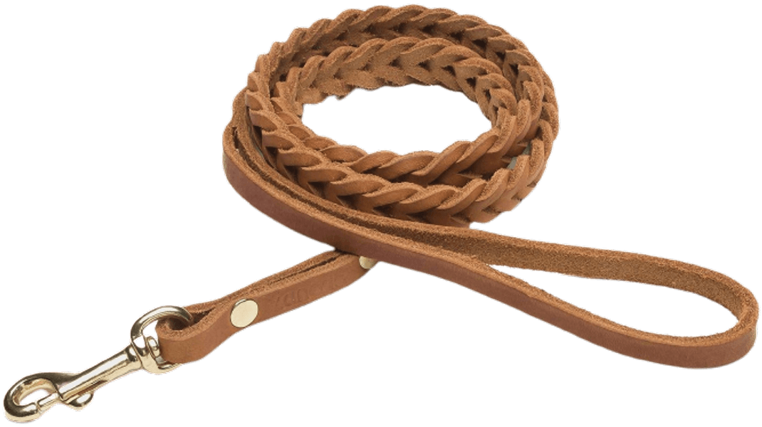 Leash Central Park S Camel Gold, view: 0