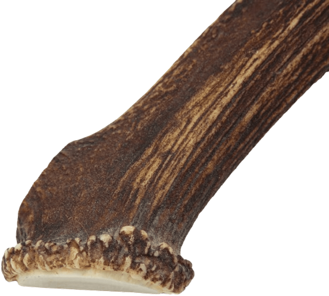 Naturligt Tuggben M Rådjurshorn, view: 2