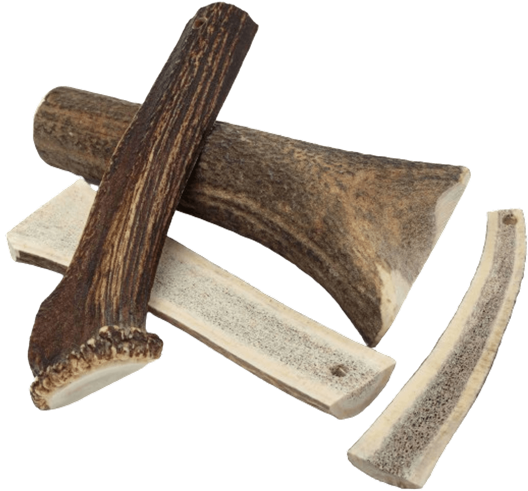 Naturligt Tuggben S Rådjurshorn, view: 3