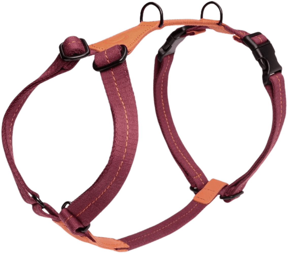 Harness Madeira XL-XXL Papaya, view: 0