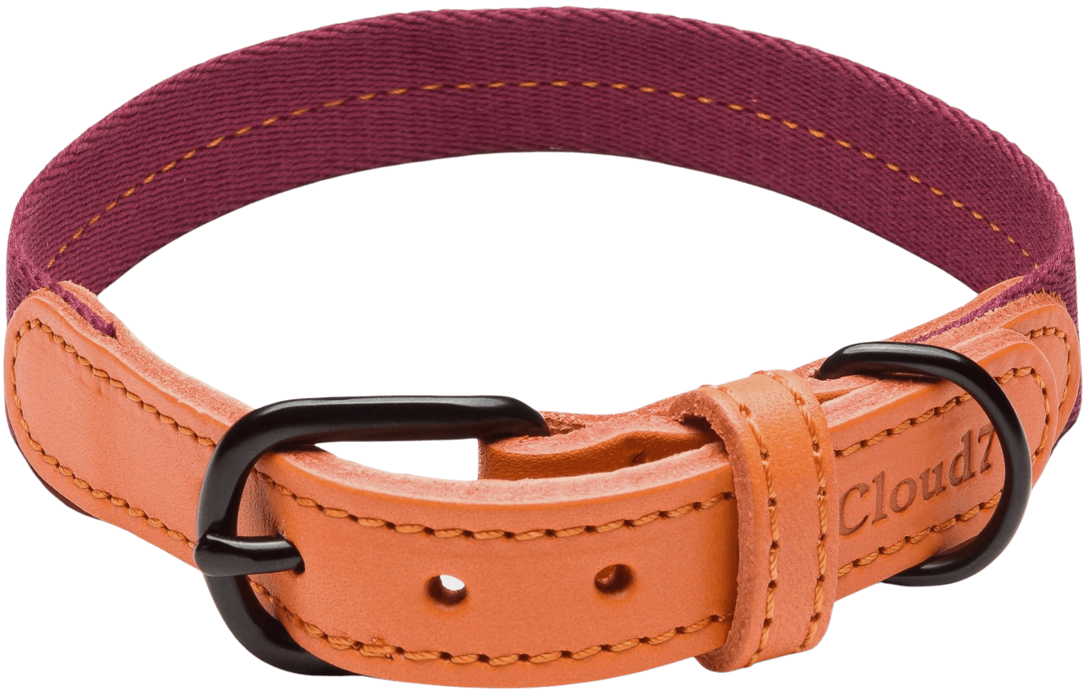 Dog Collar Madeira L-XL Papaya, view: 0