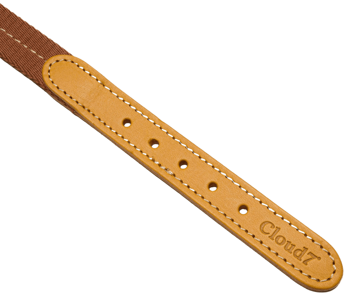 Dog Collar Madeira L-XL Ginger, view: 2