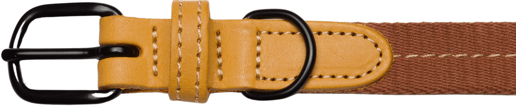Dog Collar Madeira L-XL Ginger, view: 1