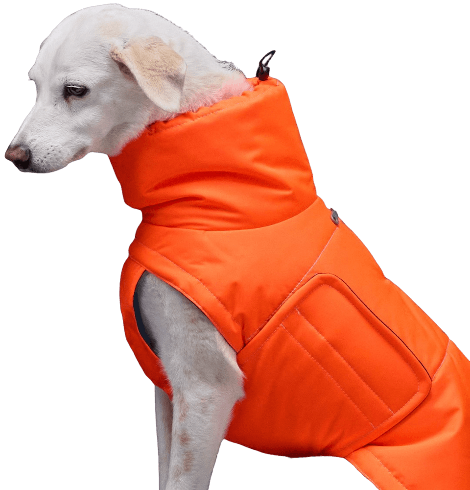 Yukon Dog Coat strl 6-10 Neon Orange, view: 1