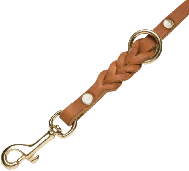 Leash Riverside Park L Camel Gold, view: 1