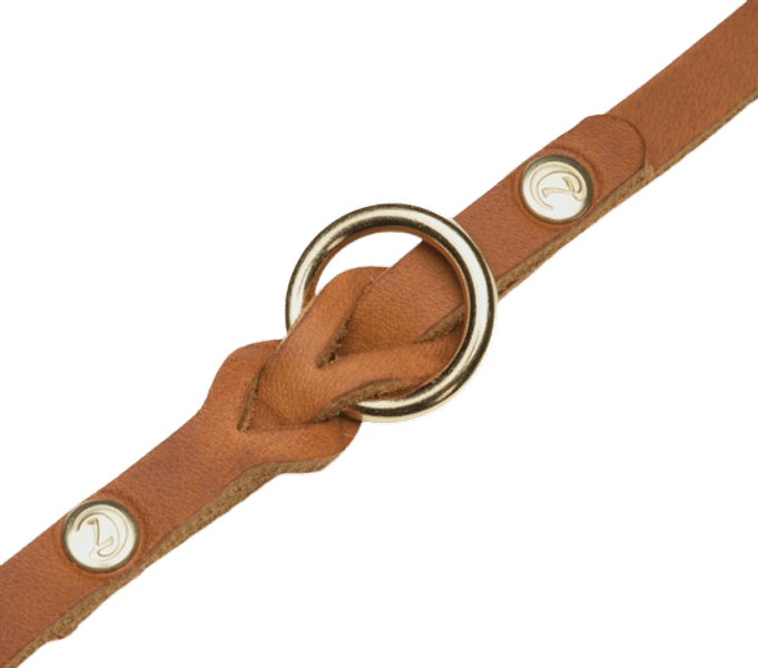 Leash Riverside Park L Camel Gold, view: 2