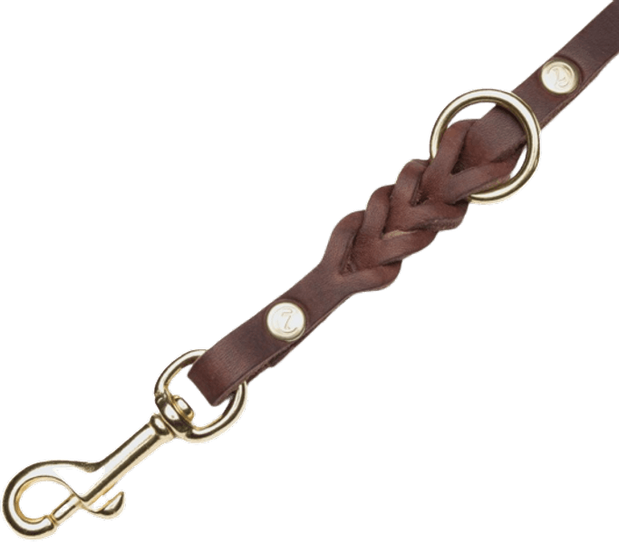 Leash Riverside Park L Saddle Brown Gold, view: 1