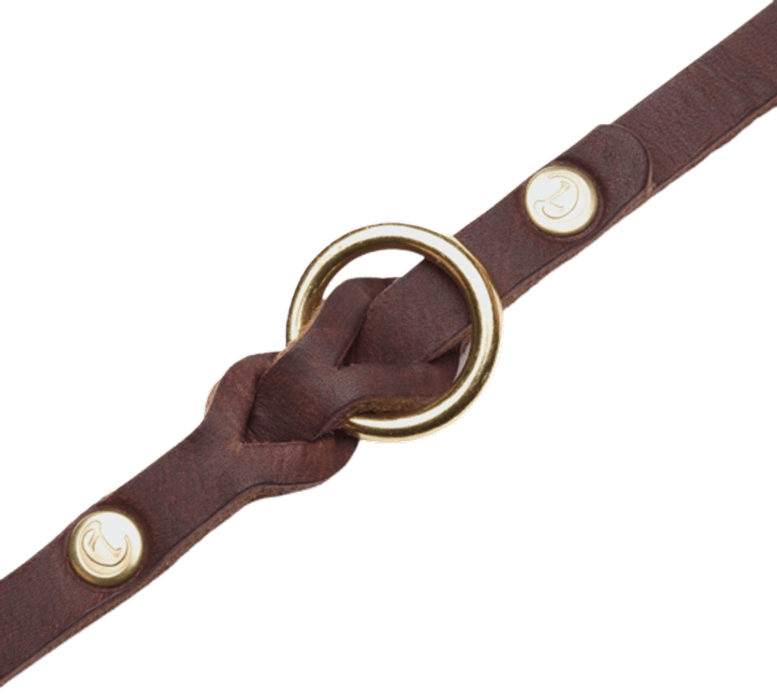 Leash Riverside Park L Saddle Brown Gold, view: 2