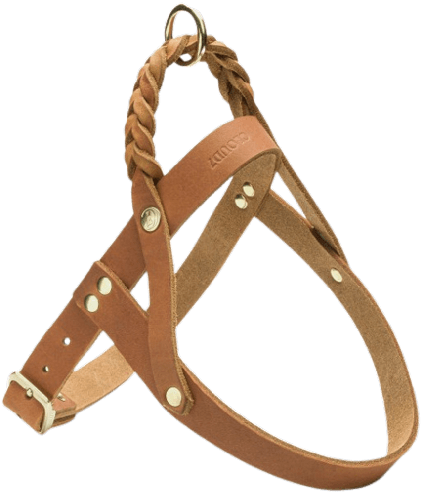 Harness Central Park XL Camel Gold, view: 0