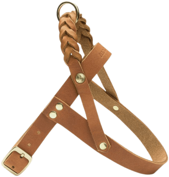 Harness Central Park XL Camel Gold, view: 1