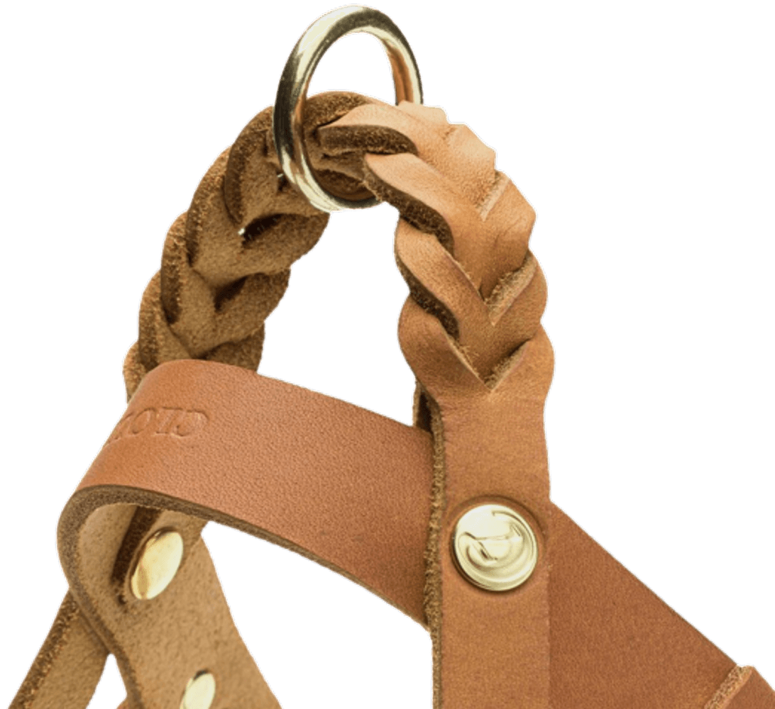 Harness Central Park XL Camel Gold, view: 2