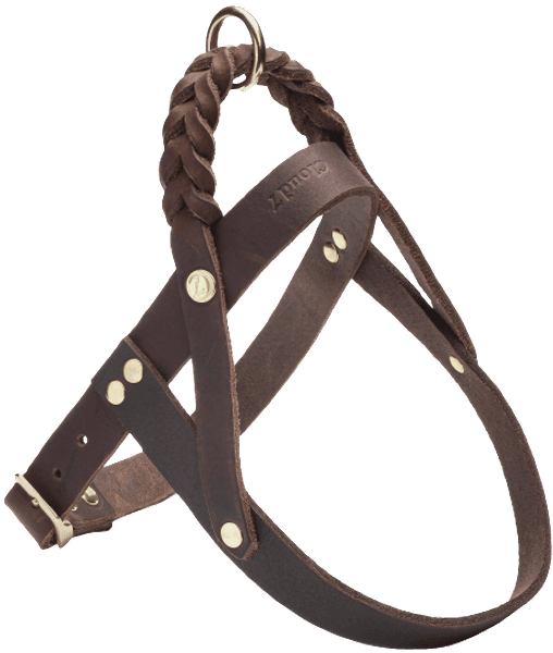 Harness Central Park XL Saddle Brown Gold, view: 0