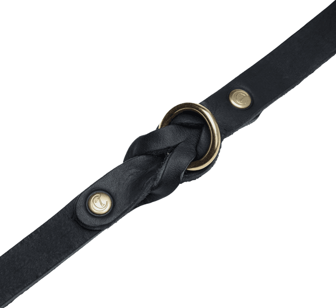 Collar Riverside Park M Black Gold, view: 2