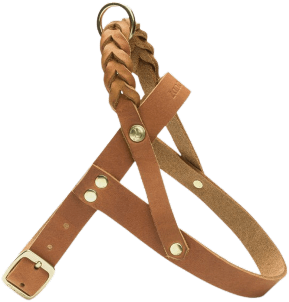 Harness Central Park M-L Camel Gold, view: 1