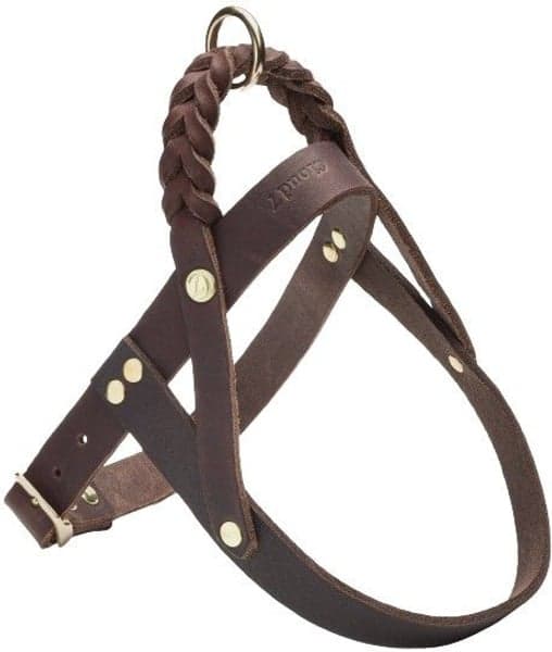 Harness Central Park M-L Saddle Brown Gold, view: 0