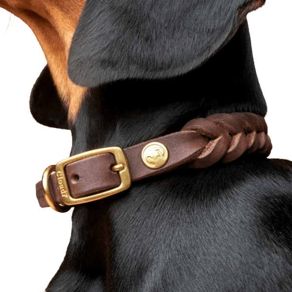 Collar Central Park L-XXL Saddle Brown Gold, view: 1