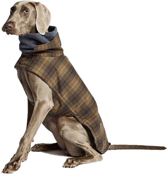 Brooklyn Dog Coat strl 4-5 Waxed Tartan, view: 3