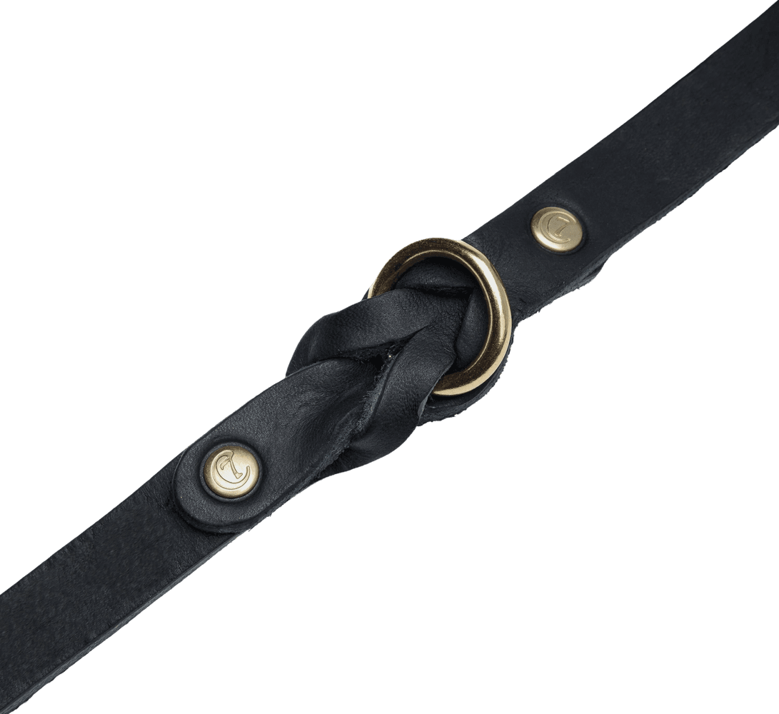 Collar Riverside Park L-XL Black Gold, view: 2