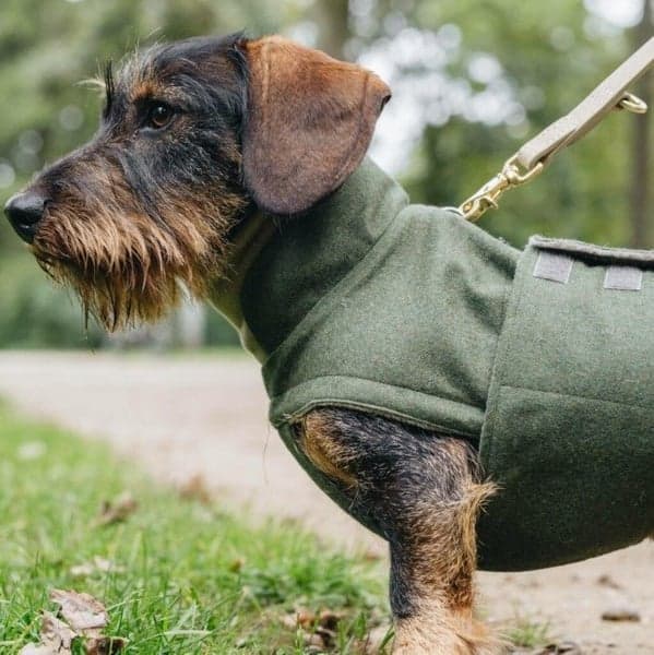 Brooklyn Taxtäcke strl 2 Fern Green, view: 4